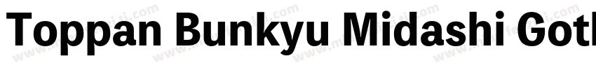 Toppan Bunkyu Midashi Gothic字体转换